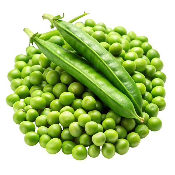 Organic Pea Protein
